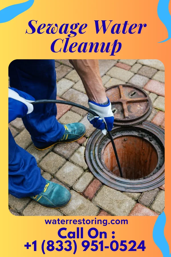 Sewage Water Cleanup in Bandon, OR